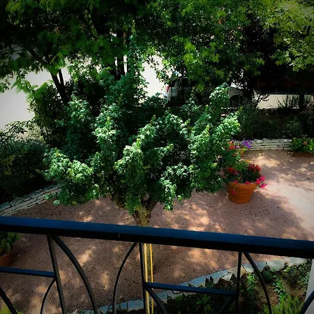Bed & Breakfast Don Carlos *