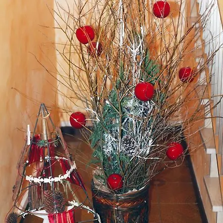 Bed & Breakfast Don Carlos San Martino di Lupari