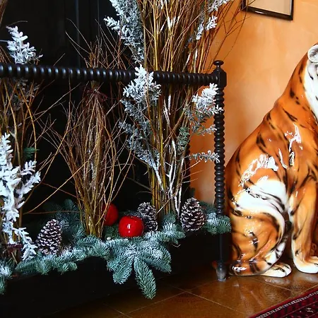 Don Carlos Bed & Breakfast San Martino di Lupari