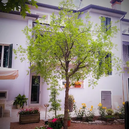 Bed & Breakfast Don Carlos Couette-café